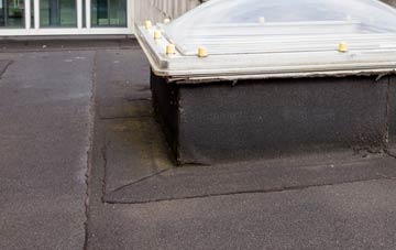 disadvantages of Haultwick flat roofs